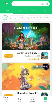 Creating, programming, and designing a website and application like Google Play and Apple Store for iPhone and Android applications.