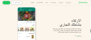 Creating, programming, and designing a website and application like WhatsApp for iPhone and Android