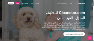 Creating, programming, and designing a website and application for cleaning homes, swimming pools, insects, rodents, and water tanks for iPhone and Android.