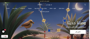 Creating, programming, designing website , application small medium enterprises iPhone , Android