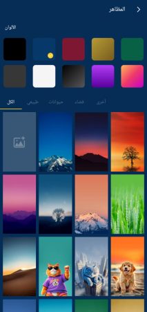 Creating, programming, and designing a website and application for multimedia and audio for iPhone and Android