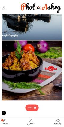 Creating, programming, designing photography website , application iPhone ,Android