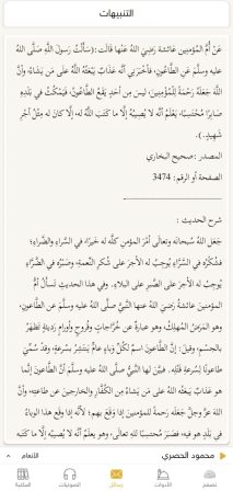 Creating, programming, designing Islamic website , application iPhone , Android