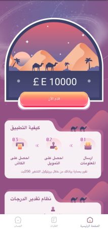 Creating, programming, and designing a website and application for car financing and real estate and personal iPhone and Android.